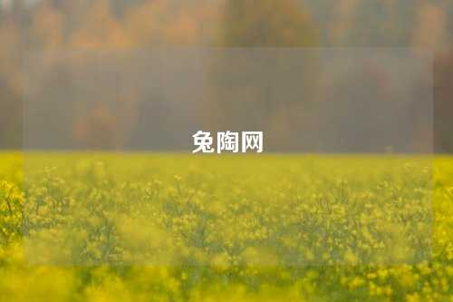 兔陶网