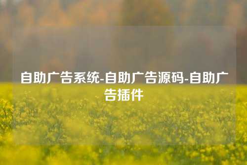 自助广告系统-自助广告源码-自助广告插件