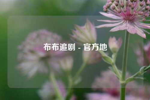 布布追剧 - 官方地