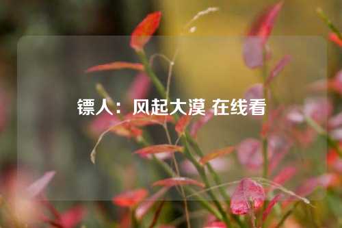 镖人：风起大漠 在线看