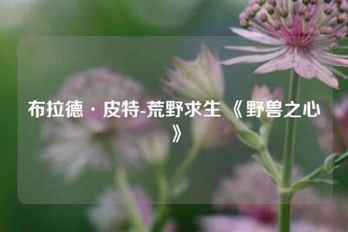 布拉德·皮特-荒野求生 《野兽之心》