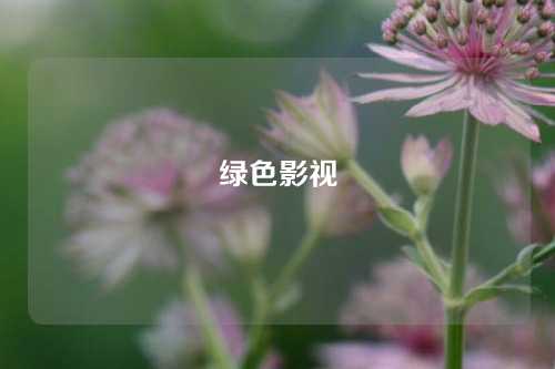 绿色影视