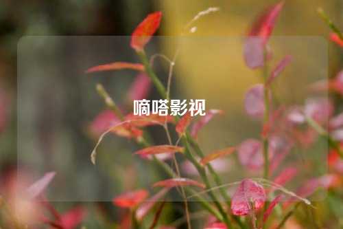 嘀嗒影视 