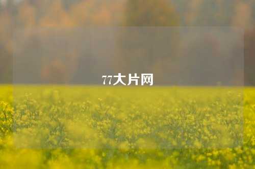 77大片网