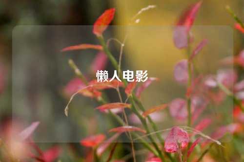 懒人电影